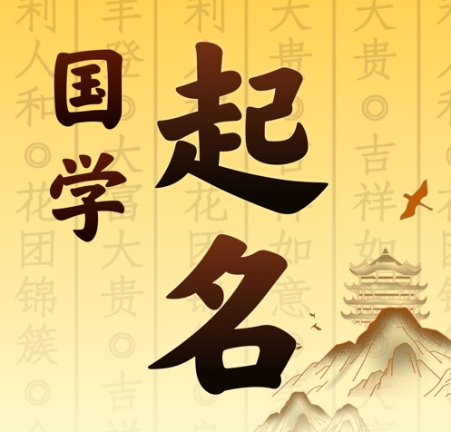 湖滨国学起名 人工起名一对一